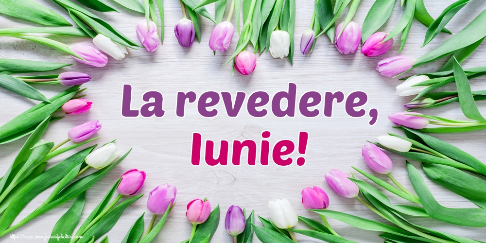 Felicitari de 30 Iunie - La revedere, Iunie!