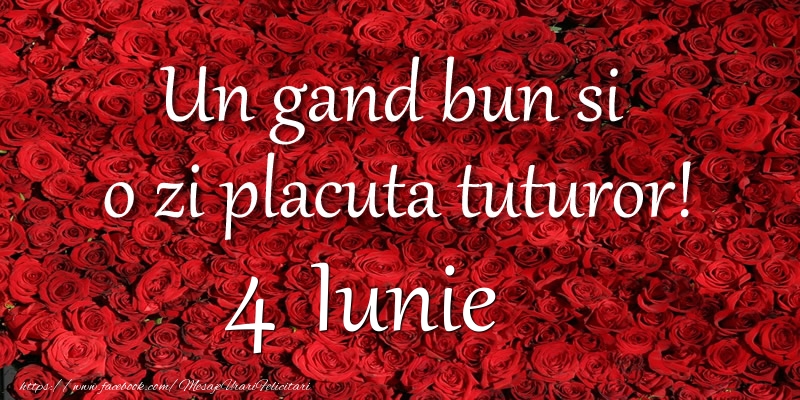 Felicitari de 4 Iunie - Un gand bun si  o zi placuta tuturor! Iunie 4