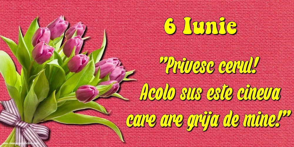 Felicitari de 6 Iunie - 6.Iunie Privesc cerul! Acolo sus este cineva care are grija de mine!