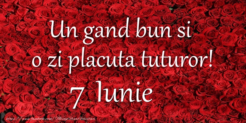 Felicitari de 7 Iunie - Un gand bun si  o zi placuta tuturor! Iunie 7