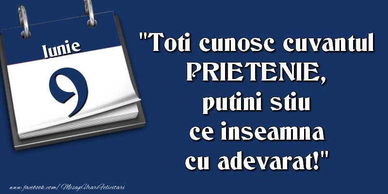 Felicitari de 9 Iunie - Toti cunosc cuvantul PRIETENIE, putini stiu ce inseamna cu adevarat! 9 Iunie