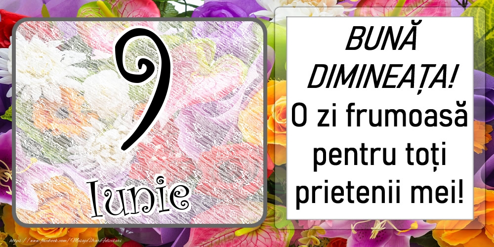 Felicitari de 9 Iunie - 9 Iunie - BUNĂ DIMINEAȚA! O zi frumoasă pentru toți prietenii mei!