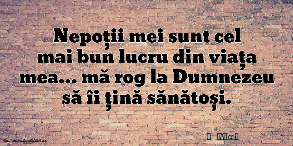 Felicitari de 1 Mai - 1 Mai - Nepoții mei sunt cel mai bun lucru din viața mea…