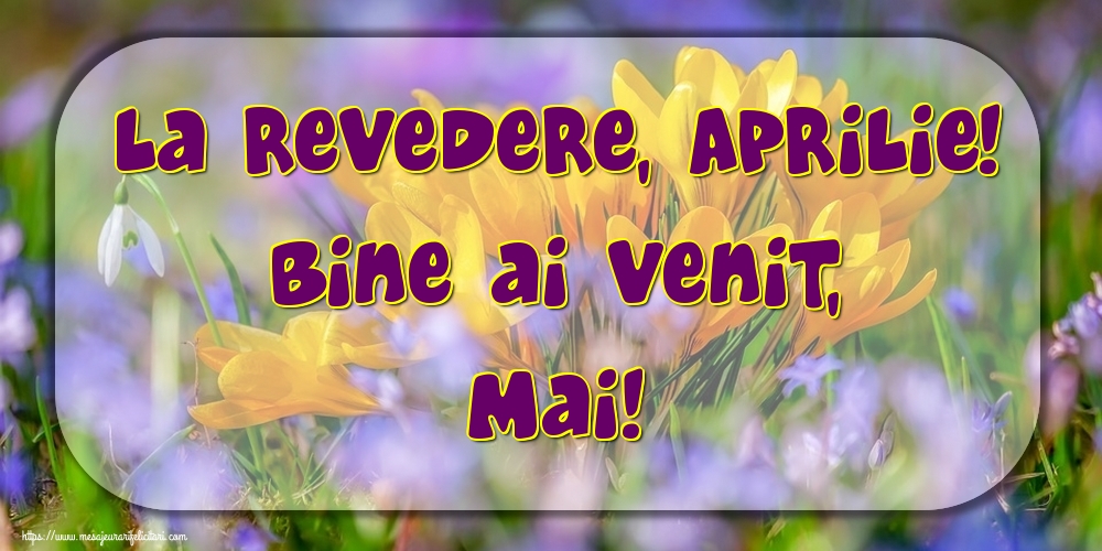 Felicitari de 1 Mai - La revedere, Aprilie! Bine ai venit, Mai!