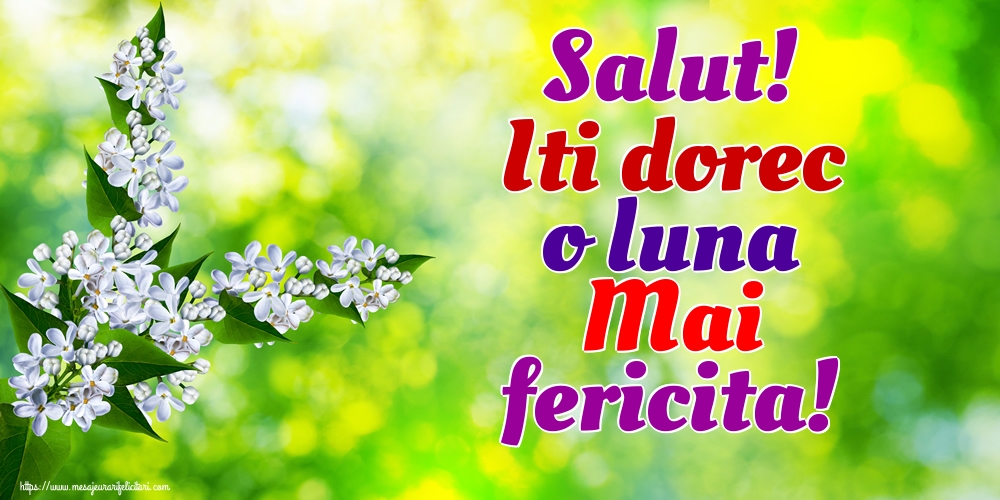 Felicitari de 1 Mai - Salut! Iti dorec o luna Mai fericita!