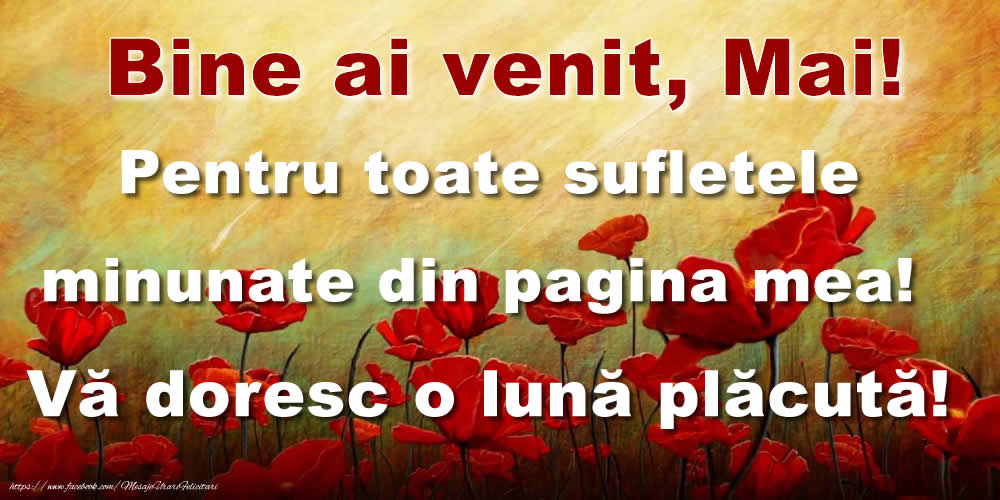 Felicitari de 1 Mai - Bine ai venit, Mai! Pentru toate sufletele minunate din pagina mea! Vă doresc o lună plăcută!