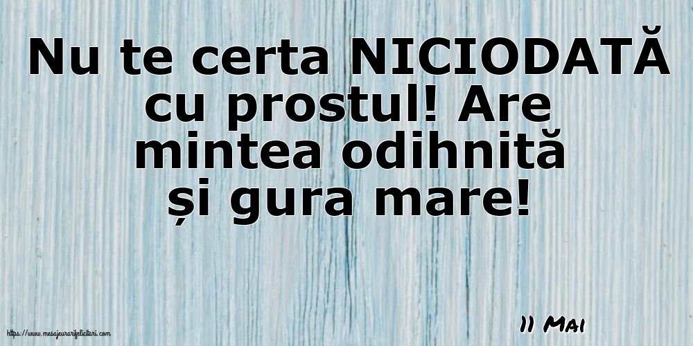 Felicitari de 11 Mai - 11 Mai - Nu te certa NICIODATĂ cu prostul!