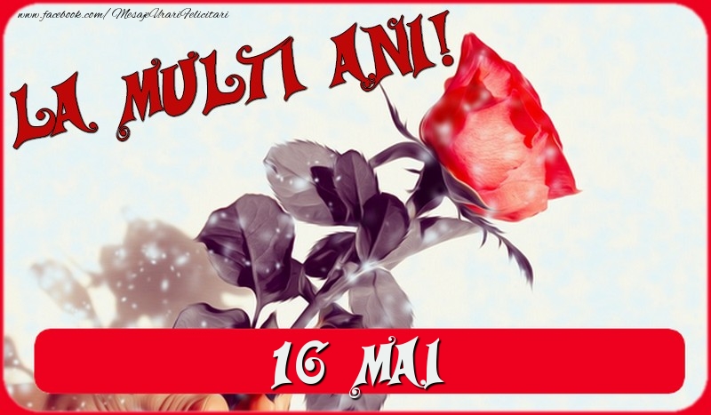 La multi ani! 16 Mai