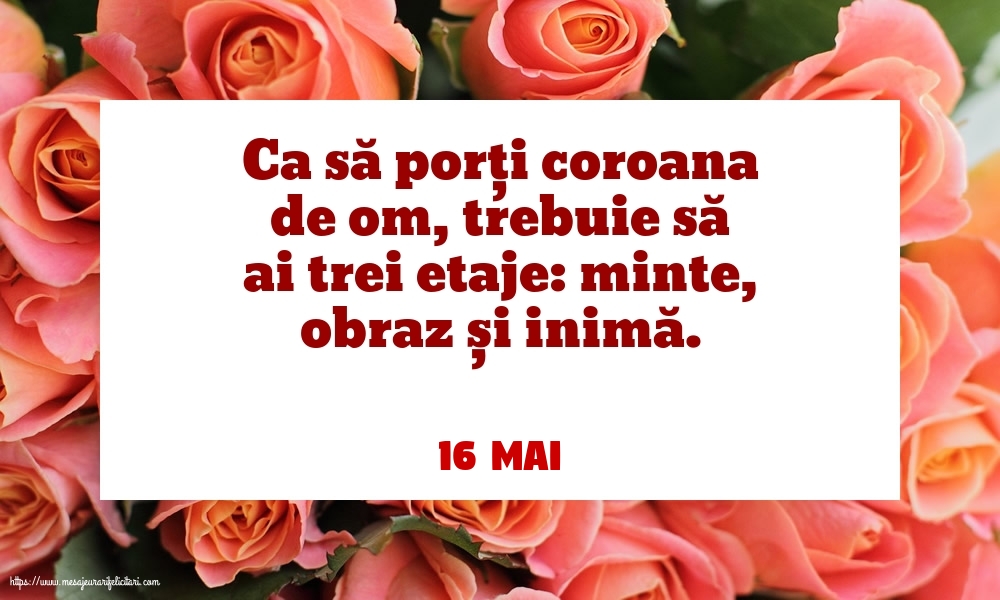 Felicitari de 16 Mai - 16 Mai - Ca să porți coroana de om, trebuie să ai trei etaje: minte, obraz și inimă.