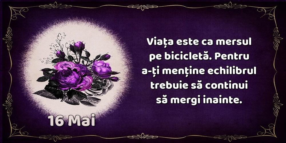 16.Mai Viața este ca mersul pe bicicletă. Pentru a-ți menține echilibrul trebuie să continui să mergi inainte.