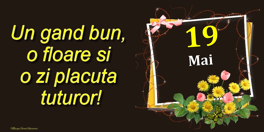 Felicitari de 19 Mai - Mai 19 Un gand bun, o floare si o zi placuta tuturor!