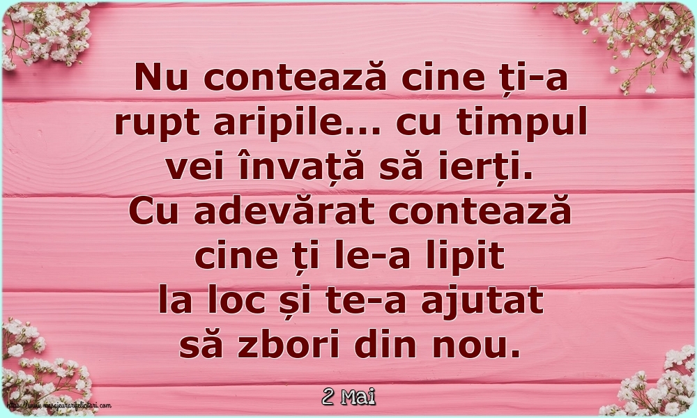 Felicitari de 2 Mai - 2 Mai - Nu contează cine ți-a rupt aripile...