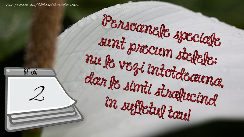 Persoanele speciale sunt precum stelele: nu le vezi întotdeauna, dar le simti strălucind în sufletul tău! 2 Mai