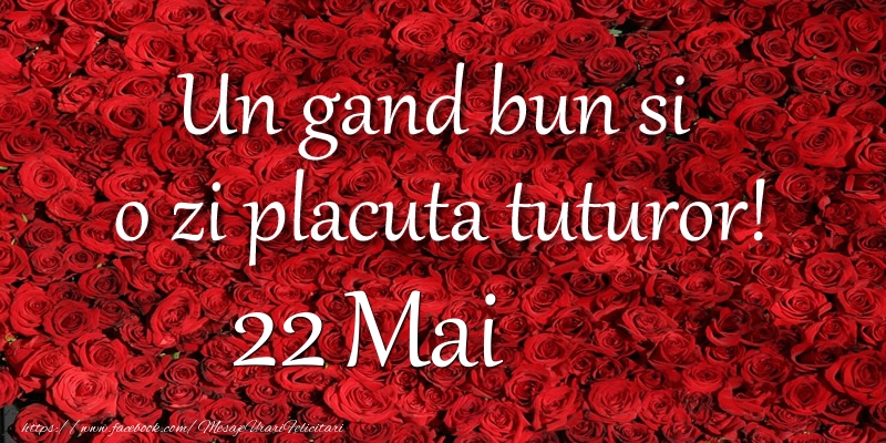 Felicitari de 22 Mai - Un gand bun si  o zi placuta tuturor! Mai 22