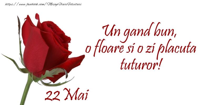 Felicitari de 22 Mai - Un gand bun, o floare si o zi placuta tuturor!