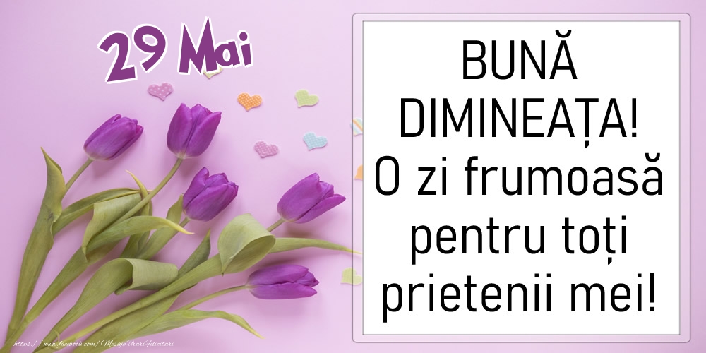 29 Mai - BUNĂ DIMINEAȚA! O zi frumoasă pentru toți prietenii mei!