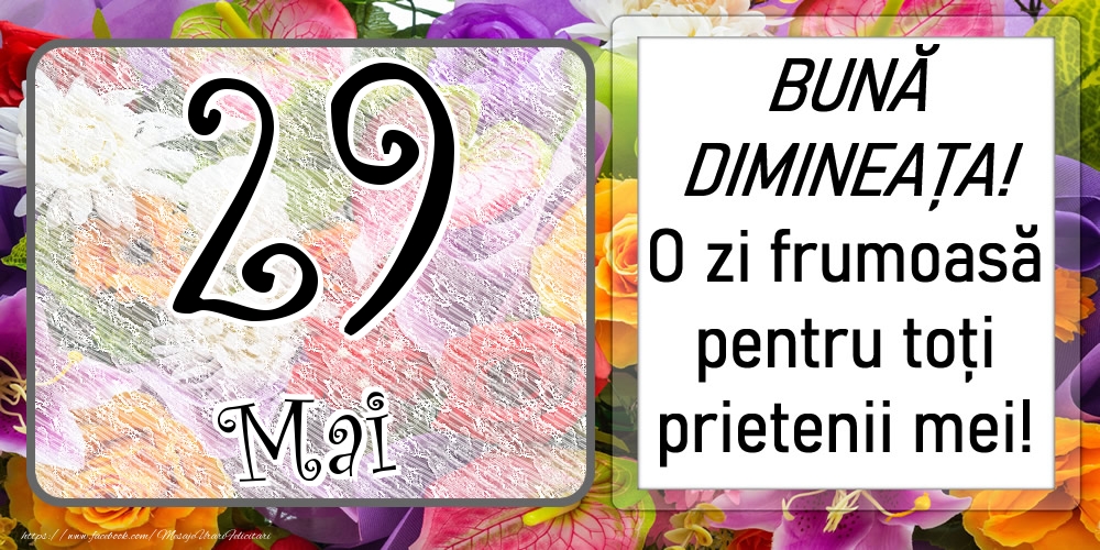 29 Mai - BUNĂ DIMINEAȚA! O zi frumoasă pentru toți prietenii mei!