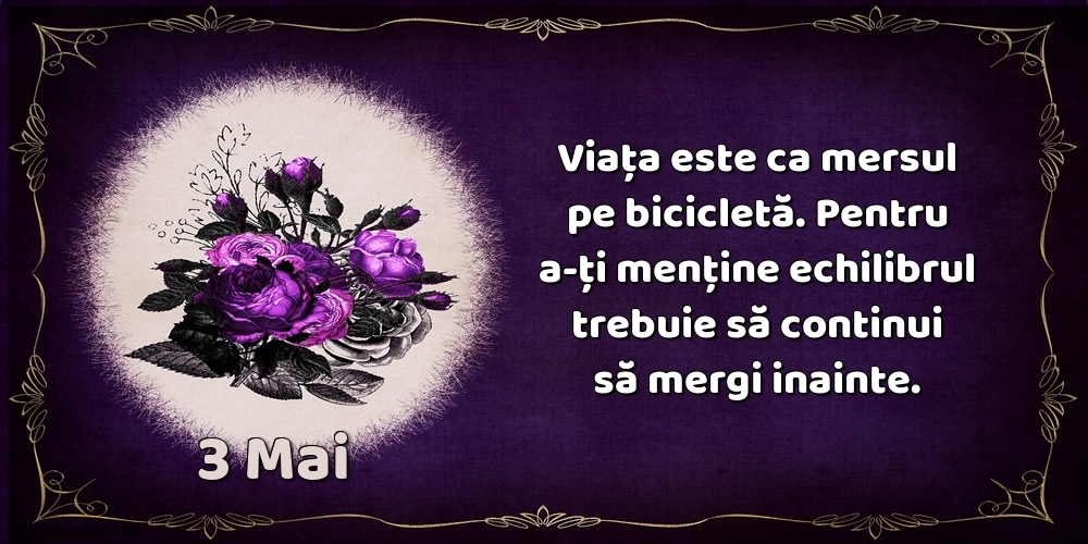 3.Mai Viața este ca mersul pe bicicletă. Pentru a-ți menține echilibrul trebuie să continui să mergi inainte.