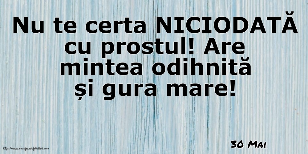 Felicitari de 30 Mai - 30 Mai - Nu te certa NICIODATĂ cu prostul!