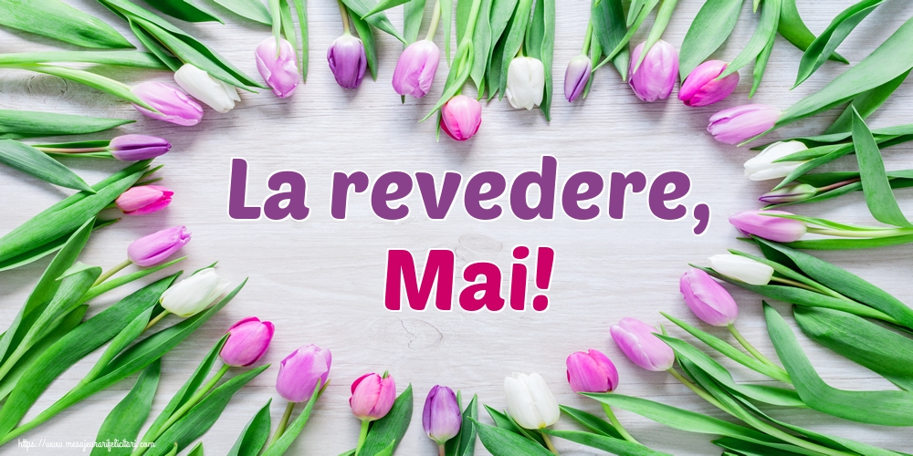 Felicitari de 31 Mai - La revedere, Mai!