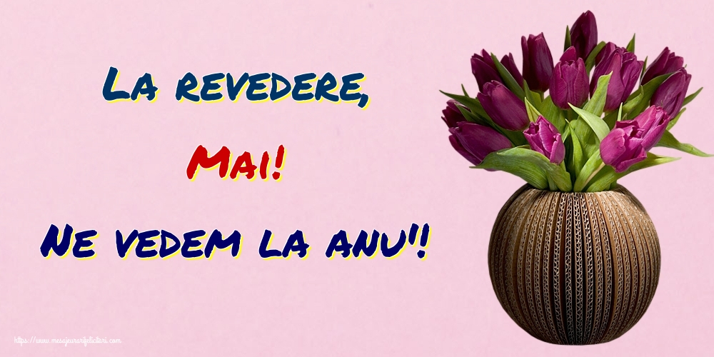 Felicitari de 31 Mai - La revedere, Mai! Ne vedem la anu'!