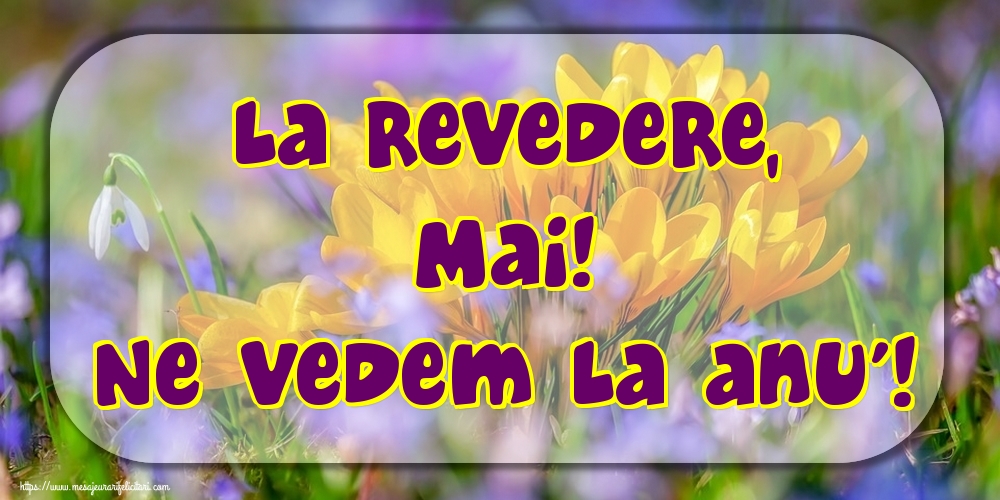 Felicitari de 31 Mai - La revedere, Mai! Ne vedem la anu'!