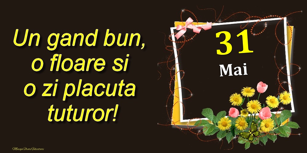 Felicitari de 31 Mai - Mai 31 Un gand bun, o floare si o zi placuta tuturor!