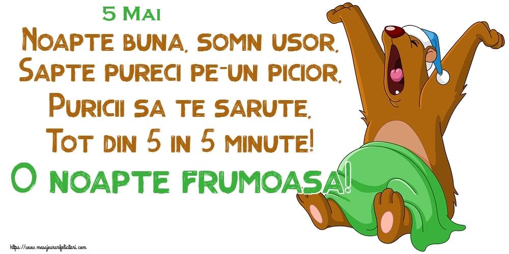 5 Mai - Noapte buna, somn usor, Sapte pureci pe-un picior, Puricii sa te sarute, Tot din 5 in 5 minute! O noapte frumoasa!