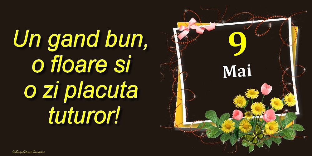 Felicitari de 9 Mai - Mai 9 Un gand bun, o floare si o zi placuta tuturor!