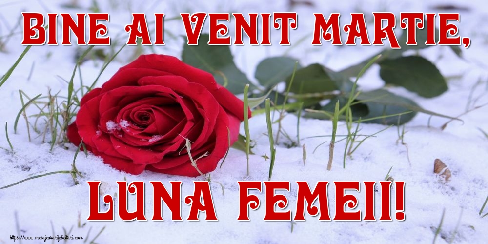 Felicitari de 1 Martie - Bine ai venit Martie, luna femeii!