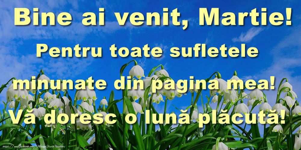 Felicitari de 1 Martie - Bine ai venit, Martie! Pentru toate sufletele minunate din pagina mea! Vă doresc o lună plăcută!