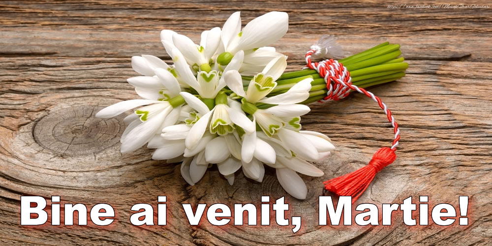 Felicitari de 1 Martie - Bine ai venit, Martie!