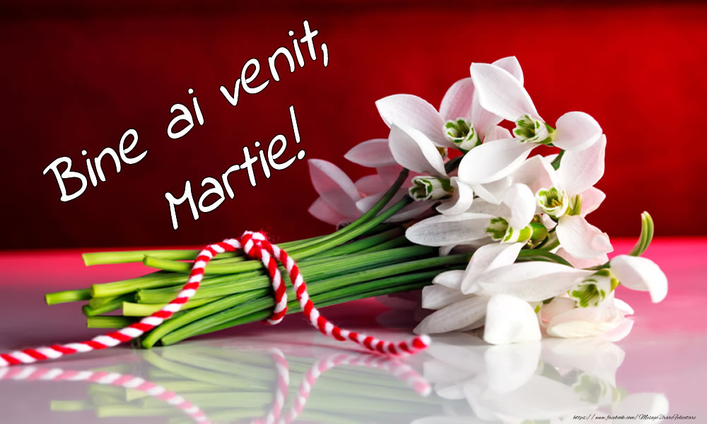 Felicitari de 1 Martie - Bine ai venit, Martie!