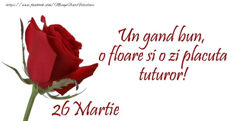 Felicitari de 26 Martie - Un gand bun, o floare si o zi placuta tuturor!