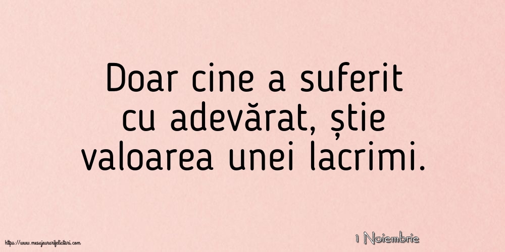 Felicitari de 1 Noiembrie - 1 Noiembrie - Doar cine a suferit cu adevărat