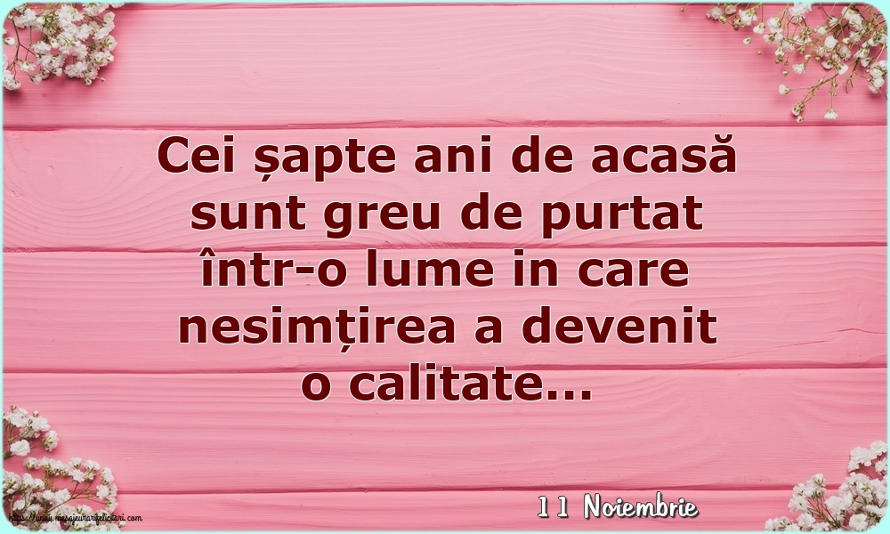 Felicitari de 11 Noiembrie - 11 Noiembrie - Cei șapte ani de acasă