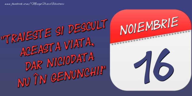 Trăieşte şi desculţ această viaţă, dar niciodată nu în genunchi! 16 Noiembrie