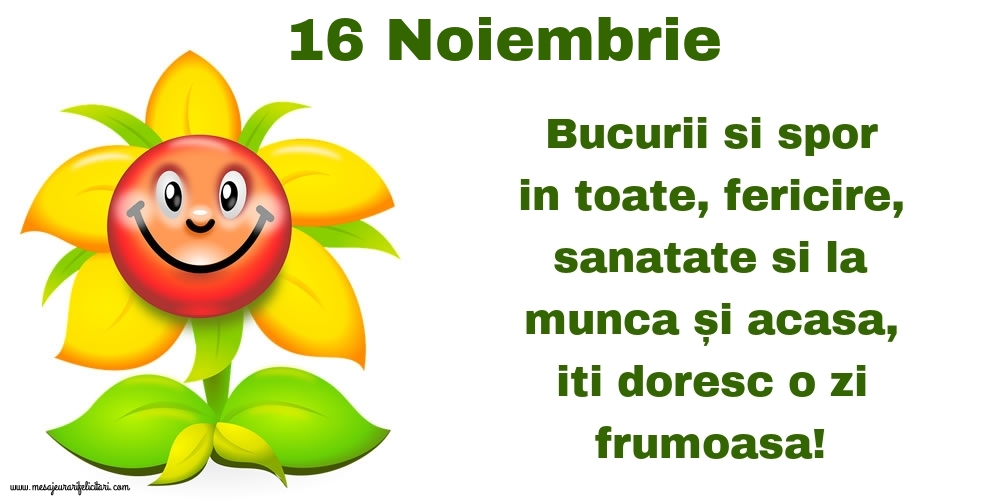 Felicitari de 16 Noiembrie - 16.Noiembrie Bucurii si spor in toate, fericire, sanatate si la munca și acasa, iti doresc o zi frumoasa!