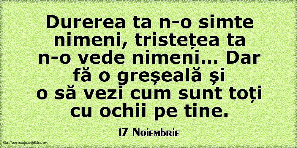 Felicitari de 17 Noiembrie - 17 Noiembrie - Durerea ta n-o simte nimeni, tristețea ta n-o vede nimeni…