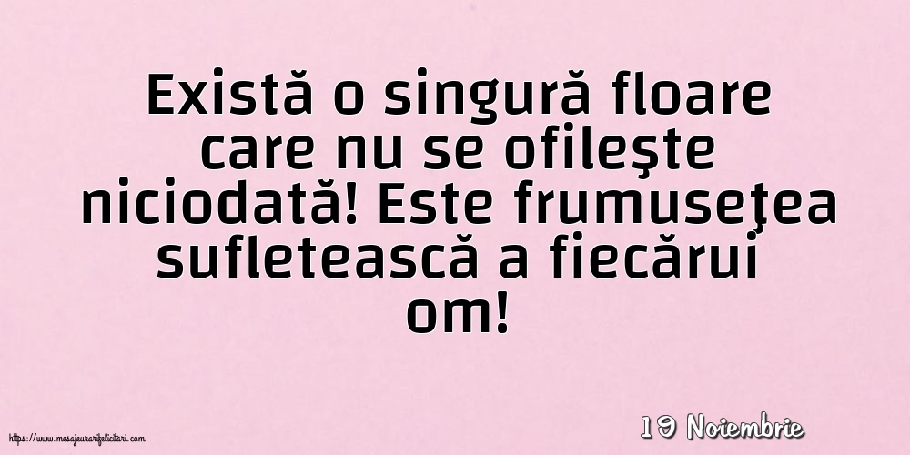 Felicitari de 19 Noiembrie - 19 Noiembrie - Există o singură floare care nu se ofileşte niciodată