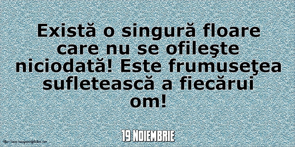 Felicitari de 19 Noiembrie - 19 Noiembrie - Există o singură floare care nu se ofileşte niciodată