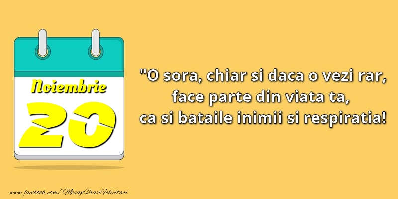 O soră, chiar şi dacă o vezi rar, face parte din viata ta, ca şi bătăile inimii şi respiraţia! 20Noiembrie