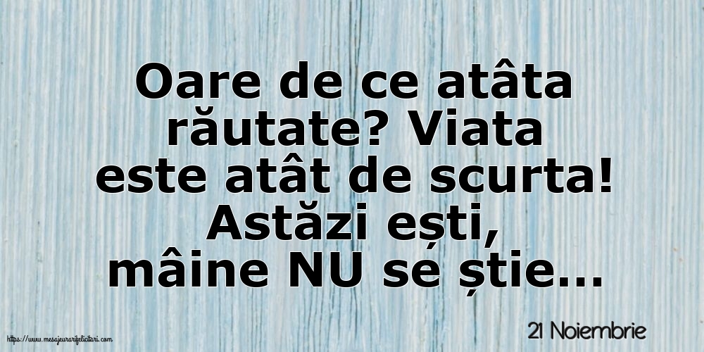 21 Noiembrie - Oare de ce atâta răutate?