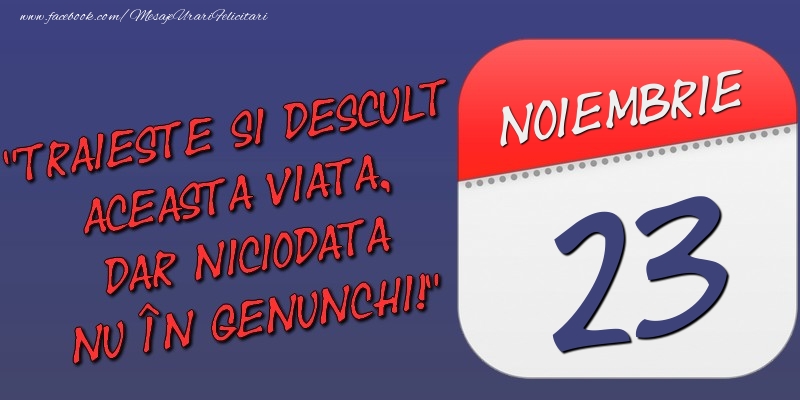 Felicitari de 23 Noiembrie - Trăieşte şi desculţ această viaţă, dar niciodată nu în genunchi! 23 Noiembrie