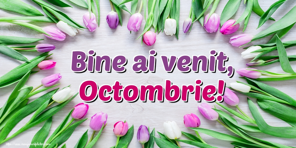 Felicitari de 1 Octombrie - Bine ai venit, Octombrie!