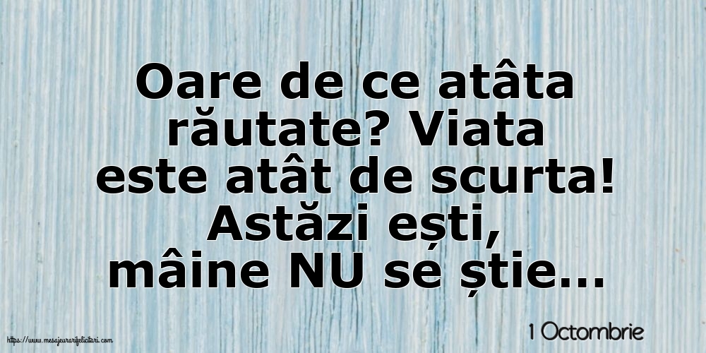 Felicitari de 1 Octombrie - 1 Octombrie - Oare de ce atâta răutate?