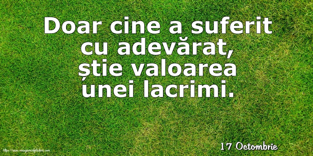 Felicitari de 17 Octombrie - 17 Octombrie - Doar cine a suferit cu adevărat