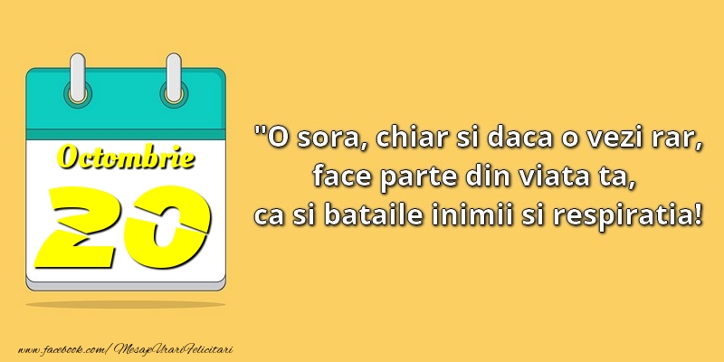 O soră, chiar şi dacă o vezi rar, face parte din viata ta, ca şi bătăile inimii şi respiraţia! 20Octombrie