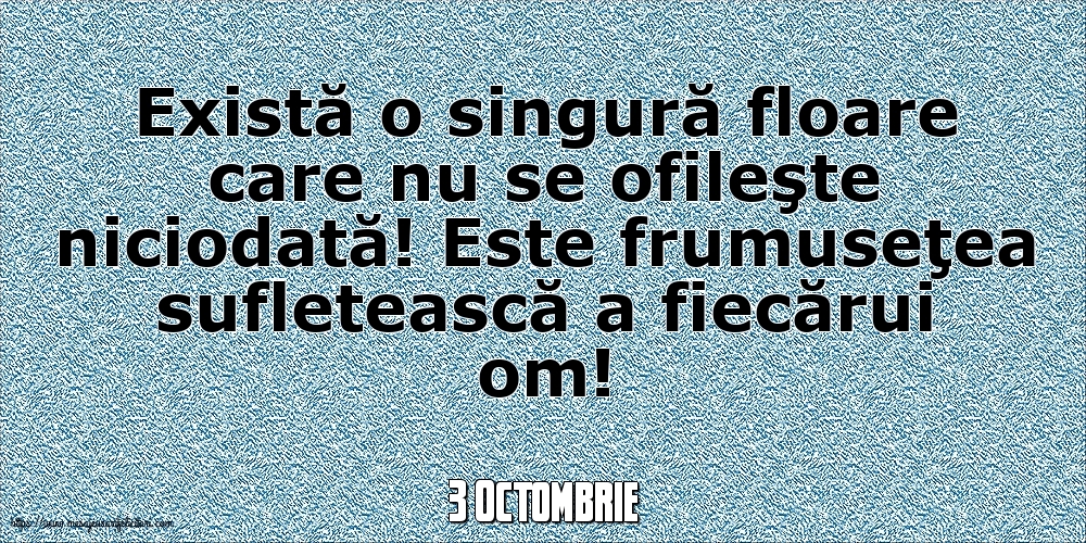 3 Octombrie - Există o singură floare care nu se ofileşte niciodată