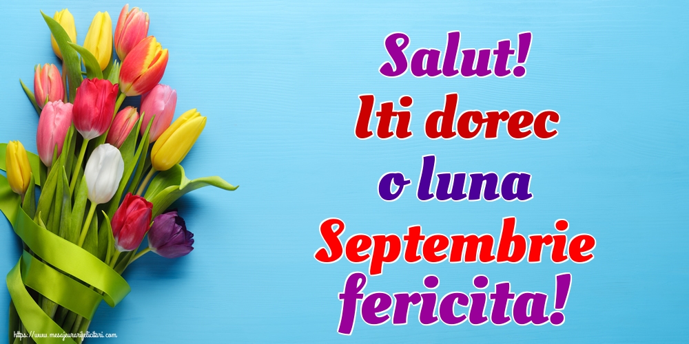 Felicitari de 1 Septembrie - Salut! Iti dorec o luna Septembrie fericita!